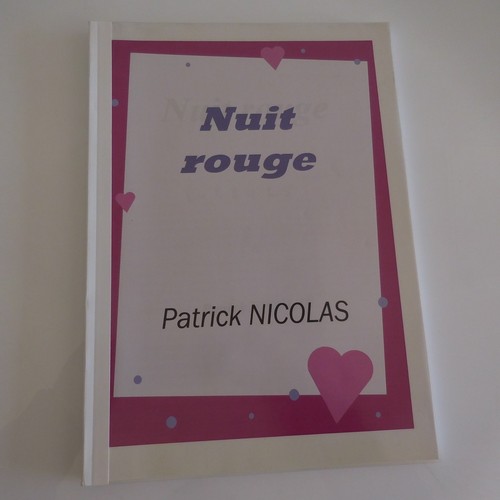 Manuscrit livre artiste